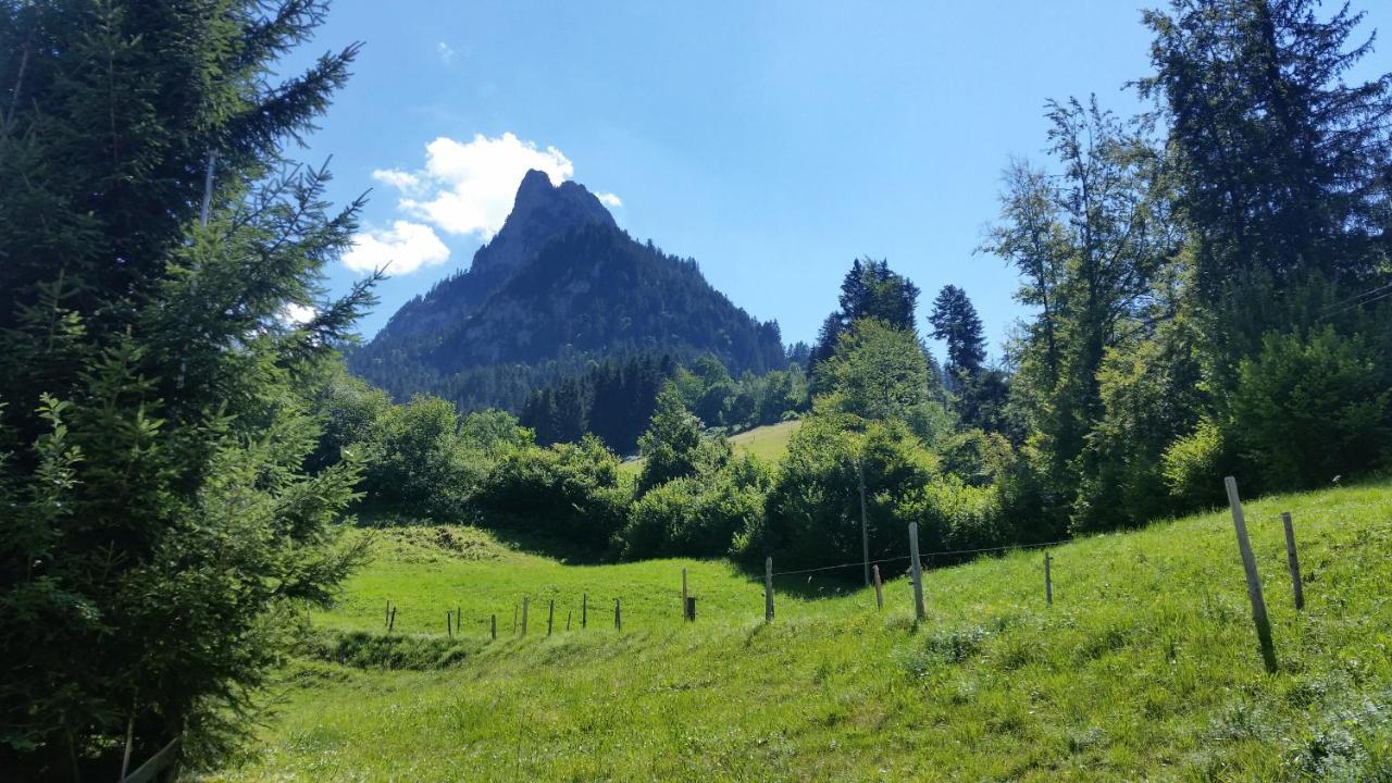 Wettermatte Villa Kiental Eksteriør bilde